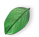 https://eurolux-cleaning.com/wp-content/uploads/2025/07/floating_leaf_01.png